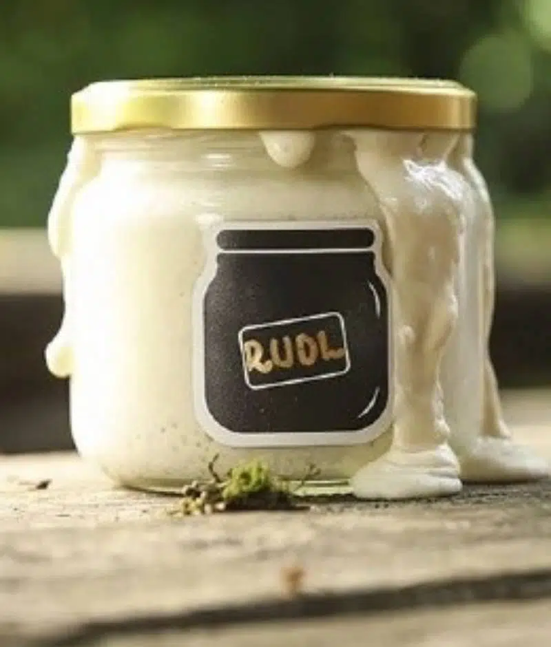 sourdough starter activated